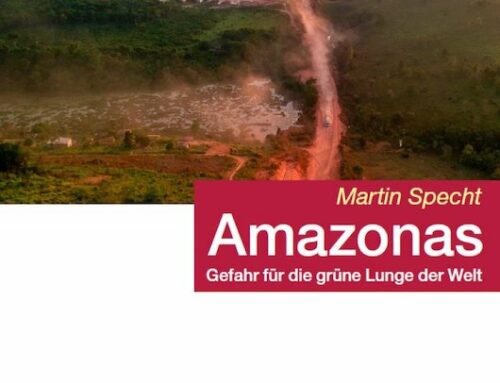 Amazonas – Gefahr für die grüne Lunge der Welt
